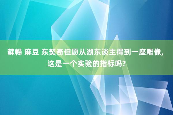 蘇暢 麻豆 东契奇但愿从湖东谈主得到一座雕像， 这是一个实验的指标吗?