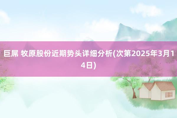 巨屌 牧原股份近期势头详细分析(次第2025年3月14日)