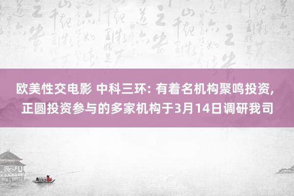 欧美性交电影 中科三环: 有着名机构聚鸣投资， 正圆投资参与的多家机构于3月14日调研我司