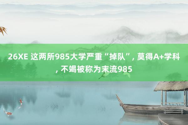 26XE 这两所985大学严重“掉队”， 莫得A+学科， 不竭被称为末流985