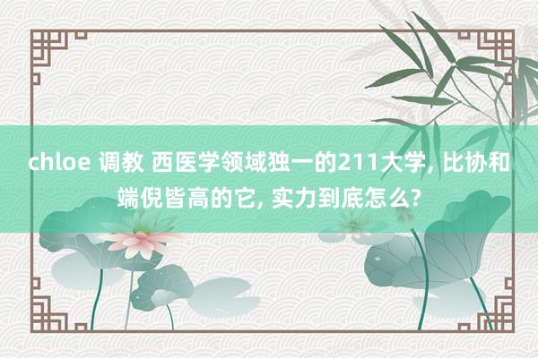 chloe 调教 西医学领域独一的211大学， 比协和端倪皆高的它， 实力到底怎么?