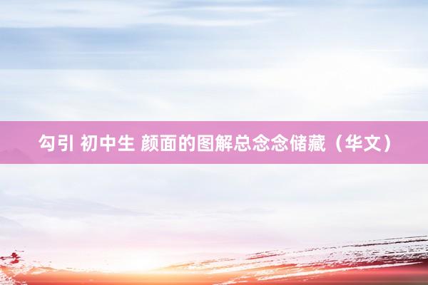 勾引 初中生 颜面的图解总念念储藏（华文）