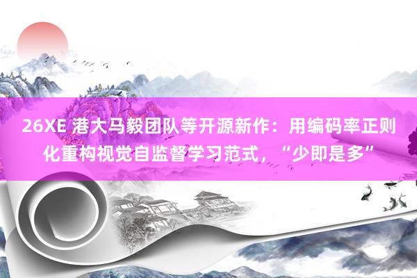 26XE 港大马毅团队等开源新作：用编码率正则化重构视觉自监督学习范式，“少即是多”